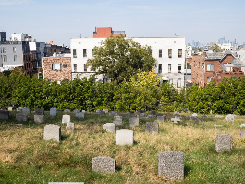 small headstones arrayed on the steep hill at the northern end of Greenwood cemetery adjoining low-rise apartments