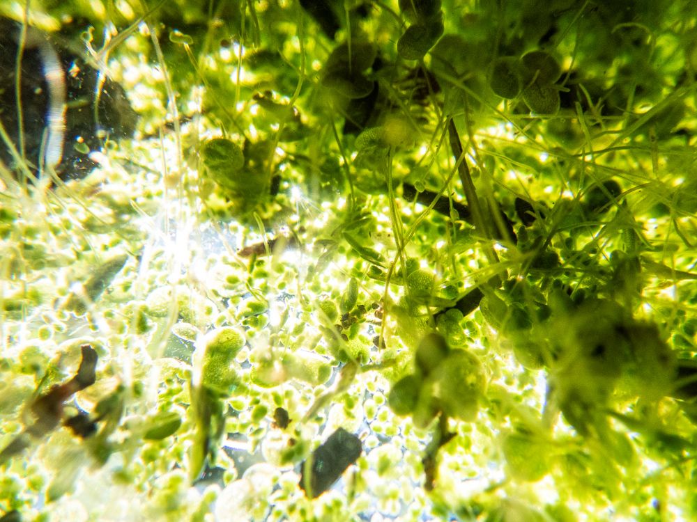 /images/photo/09112025/09112025-3.jpg