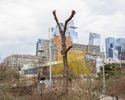 Pruned-Back Willow and Hudson Yards
Pier 64 at Hudson River Park, New York, NY
March 29, 2025, 3:28 PM