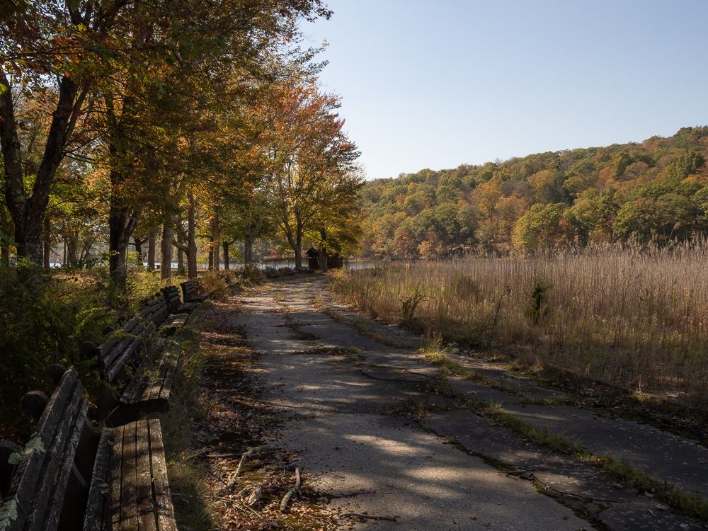 an arc of benches bordering the reed-choked beach recede toward a utility shed