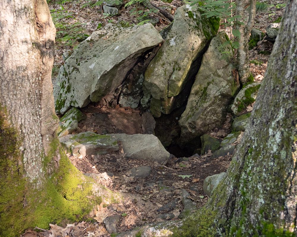 A fossilized toilet
