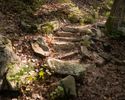 A curved stone staircase along the Appalachian Trail