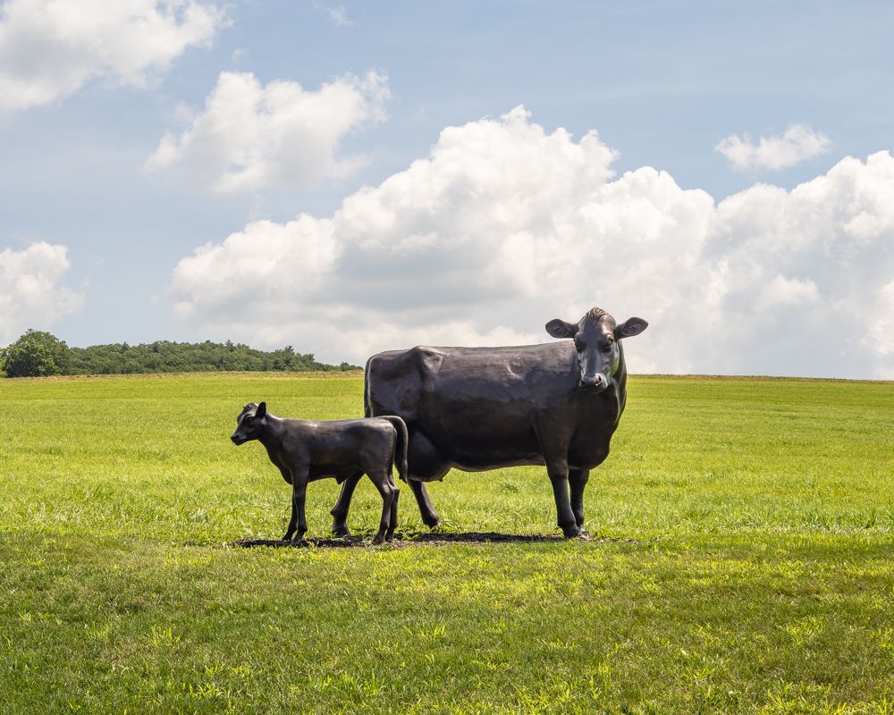Not far beyond the bland building, a very stern looking cow and her calf, in brass.