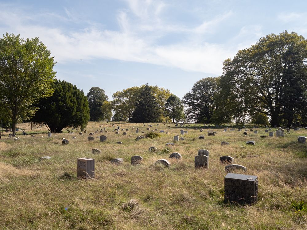 many small headstones in a field of long grass, Greenwood Cemetry