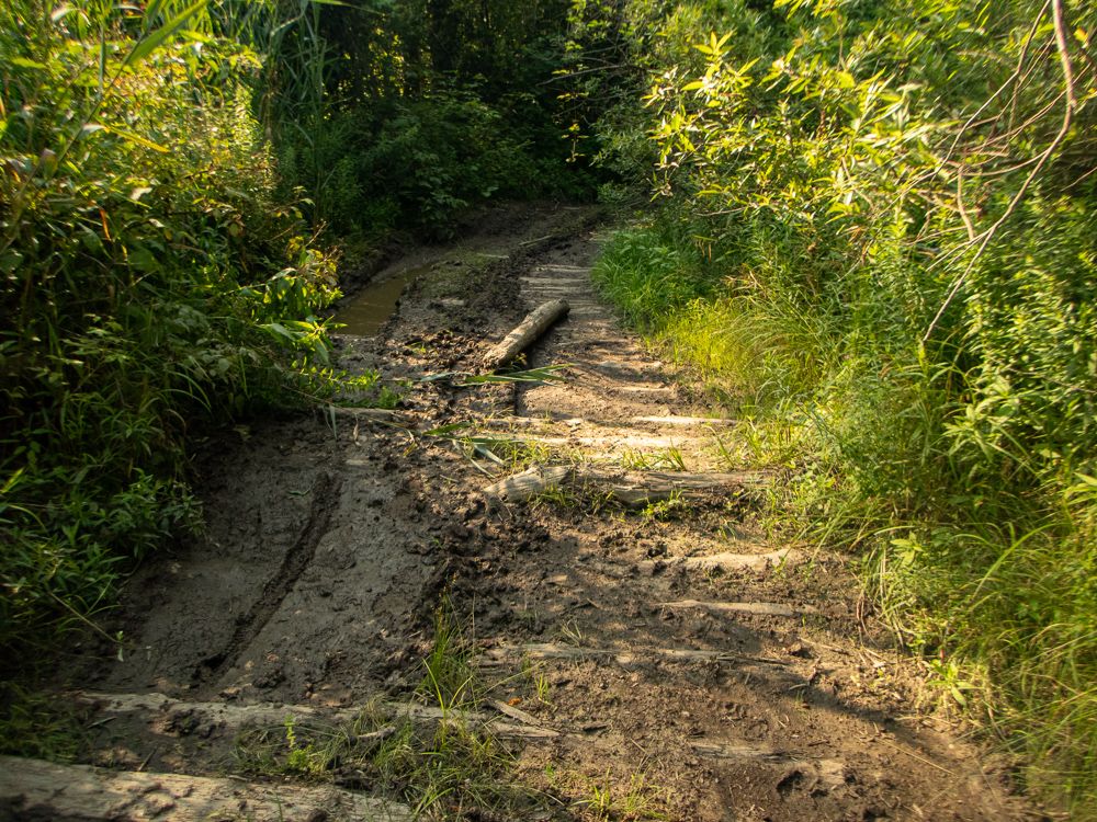 Mud: now with 100% more logs