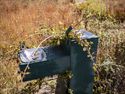 vegetation overtaking a drinking fountain at Lake Sebago