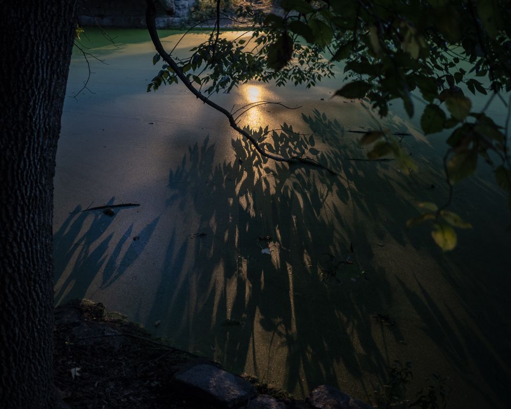 Dark dusk duckweed and sodium lamplight shadows at the Lullwater Bridge