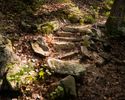 Stone Staircase on the Appalachian Trail
Beartown State Forest, Monterey, MA
July 29, 2025, 7:34 AM