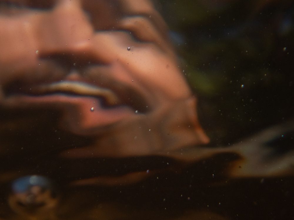 my face, distended and diffracted in the water in the lake