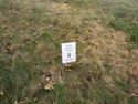 a small laminated sign in the grass, "Turfgrass research in progress"