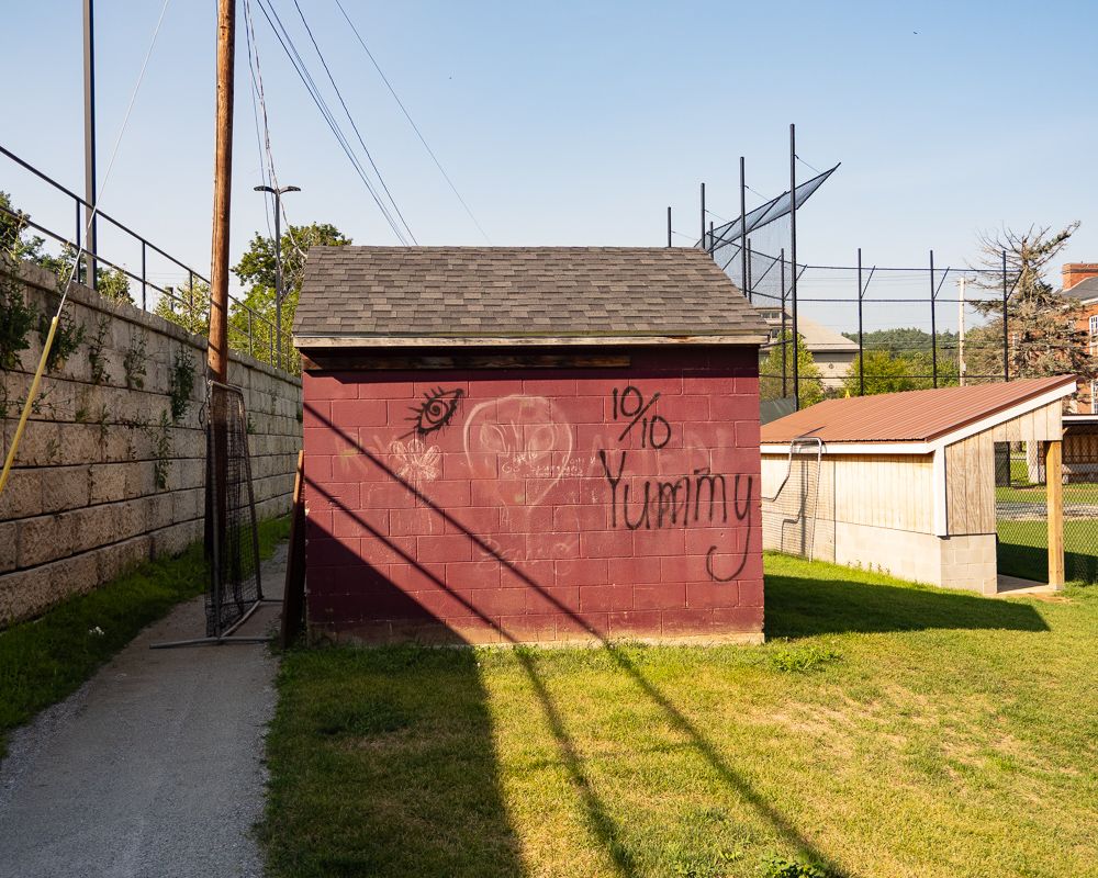 Some unserious graffiti behind a dugout, Great Barrington.