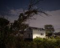 A small house framed by a dead vine-covered tree at night in Hamilton Beach