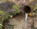 A dainty pipe exuding water along New Lenox Road