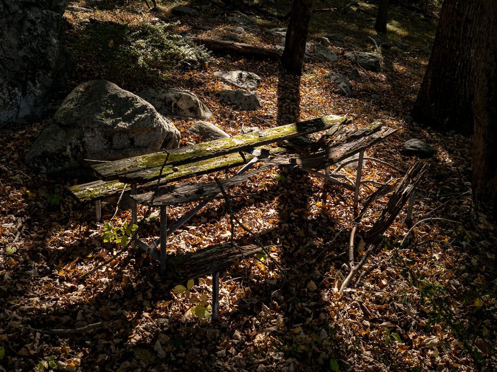 a wooden picnic table in the duff almost completely decomposed to its metal parts